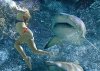 12girl-sharks-section.jpg