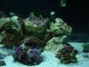 tank right side.jpg