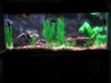 Freshwater Tank 001.jpg