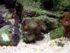 DSCF0665_edited.JPG