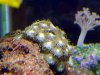 DSCF0680_edited.JPG