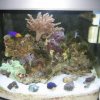 full tank shot.jpg