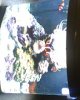 IMG0009A.jpg
