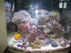 tank view for web.jpg